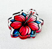 Acrylic-Pin Example