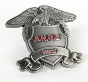 Antique Pin Example
