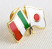 Hard Enamel Pin Example