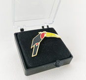 Hard Enamel Pin Example