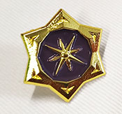 Cast Metal Pin Example