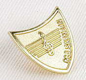 Sandblasted Pin Example