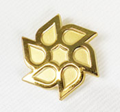 Sandblasted Pin Example