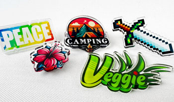 Acrylic Pins